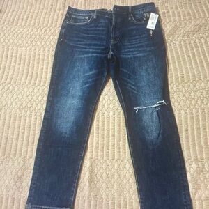 Earnest Sewn Men's Dark Blue Straight Jeans